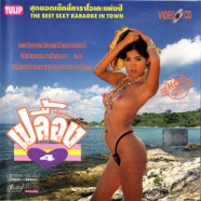 คาราโอเกะ - เปลื้อง VCD1457-WEB